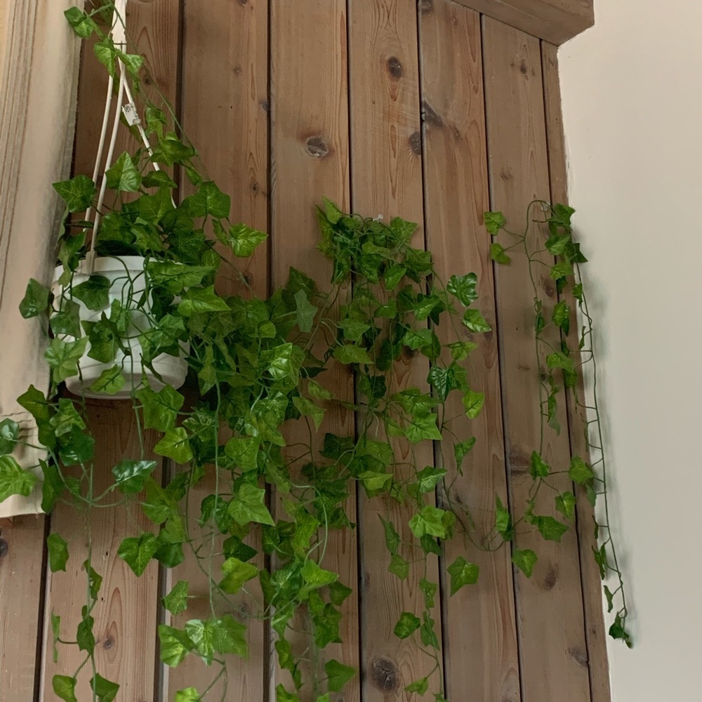 fake ivy